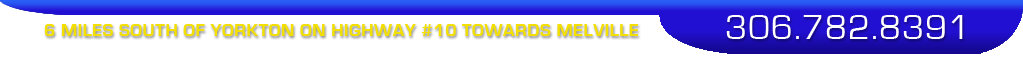 306 782 8391